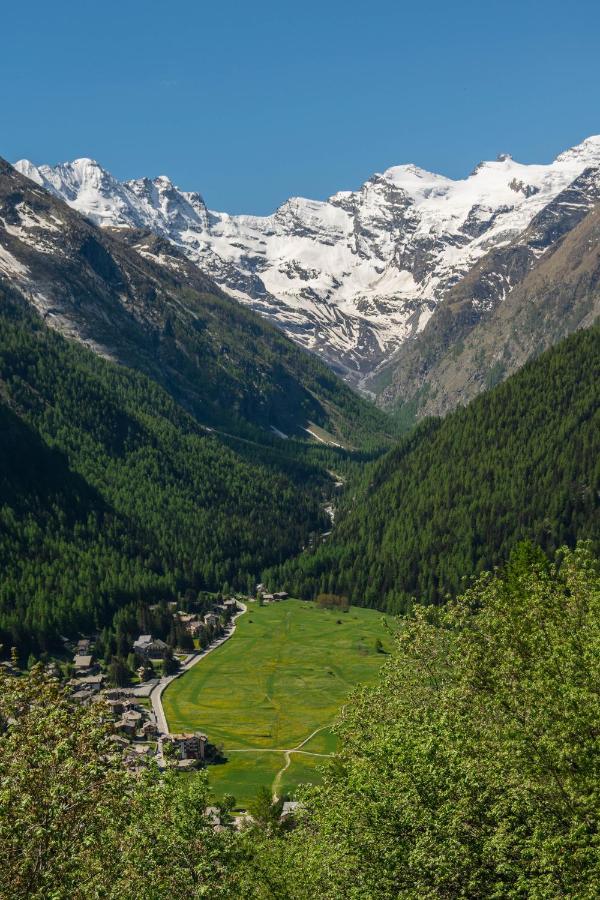 Nido Delle Aquile Cogne Exterior foto