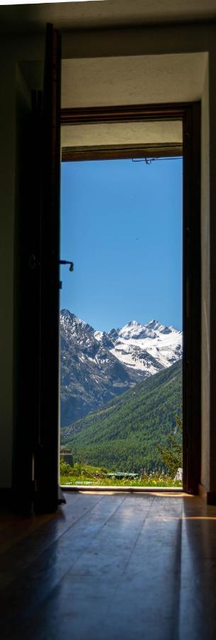 Nido Delle Aquile Cogne Exterior foto